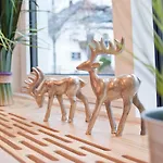Zur Post Hotel 3*